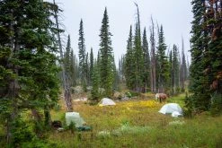 Big Agnes Tiger Wall 2 Platinum Crazylight Backpacking Tent 20 Big Agnes Tiger Wall 2 Platinum Crazylight Backpacking Tent -Outwell Shop 07664bd4 2457 498d 968a 1c085c6e0720Copper Spur Fly Creek HV UL Tiger Wall Platinum