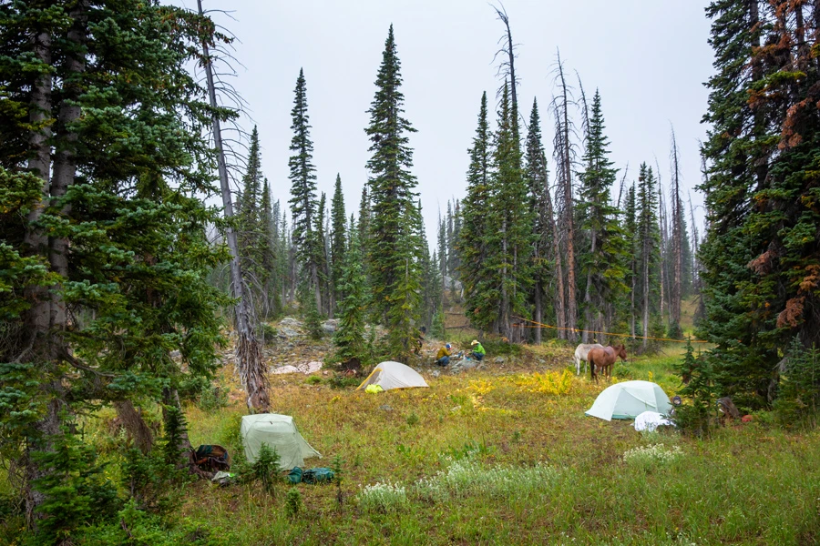 Big Agnes Tiger Wall 2 Platinum Crazylight Backpacking Tent 8 Big Agnes Tiger Wall 2 Platinum Crazylight Backpacking Tent - Image 6