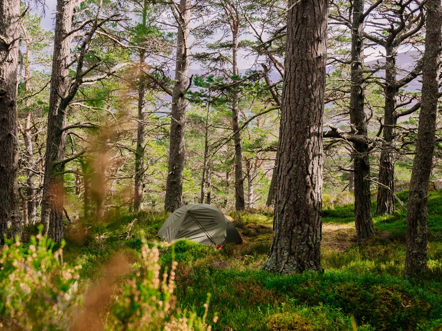 MSR Elixir 3 V2 Tent Backpacking Shelter 14 MSR Elixir 3 V2 Tent Backpacking Shelter - Image 12