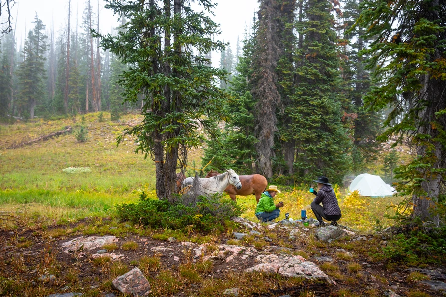 Big Agnes Tiger Wall 3 Platinum Crazylight Backpacking Tent 15 Big Agnes Tiger Wall 3 Platinum Crazylight Backpacking Tent - Image 13