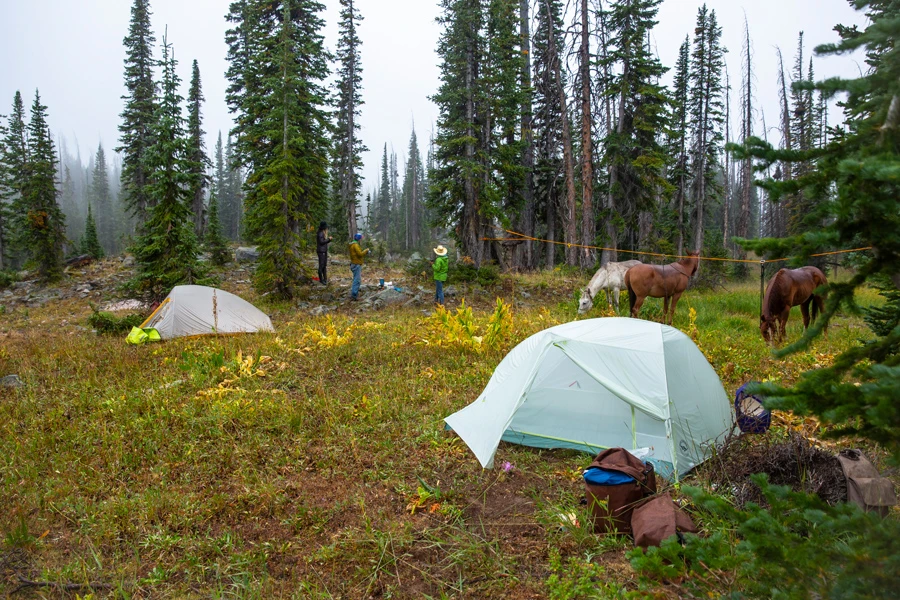 Big Agnes Tiger Wall 2 Platinum Crazylight Backpacking Tent 11 Big Agnes Tiger Wall 2 Platinum Crazylight Backpacking Tent - Image 9