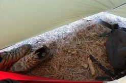 MSR Access 2 4-Season Hiking Tent 53 MSR Access 2 4-Season Hiking Tent -Outwell Shop glct040